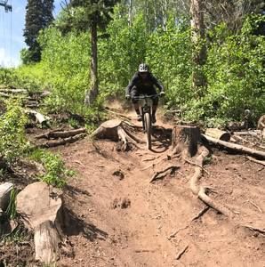 Meet your Posher, Robbie